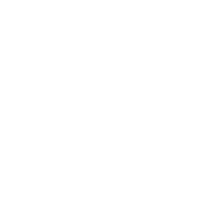 De_Zon_logo_transparant