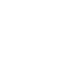 Lago_Lago_logo_transparant