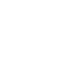 Nachtbloesem_logo_transparant
