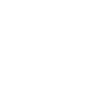 Oranjebloesem_logo_transparant