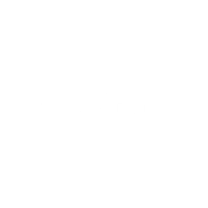 Verknipt_logo_transparant