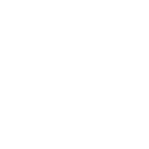 Vybz_logo_transparant
